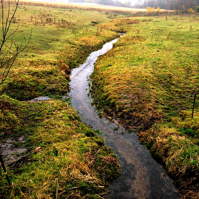 A stream near Elgin, Iowa, part of the Turkey River Watershed (KC McGinnis / CGRER)